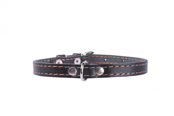 Collar ошейник кожаный одинарный (27-35 см., Черный)