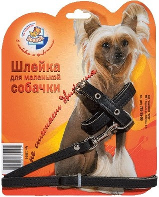 Зооник шлейка кожа для маленьких собак на блистере (+поводок 1.5 м) (1,5 м.)