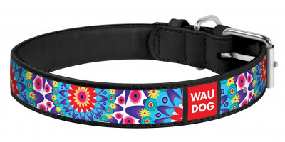 Collar ошейник кожаный Waudog Design "Цветы" (ширина 20 мм., длина 30 - 39 см., Черный)