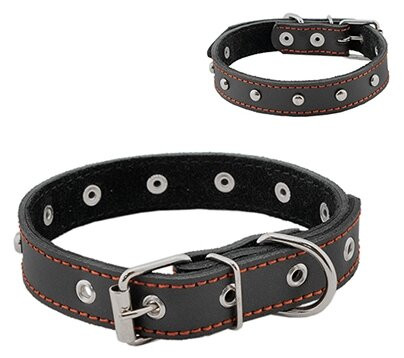 HOMEPET ошейник для собак кожаный двойной с украшениями простроченный двухслойный (35-47 см., Черный)