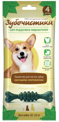 Зубочистики мятные (70 г.)